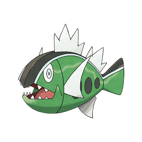 White-Striped Basculin